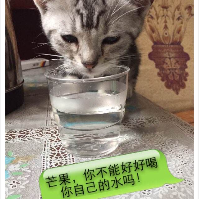 信用社银行定期存款单样子/图片模板/图片